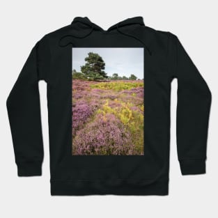 Dunwich Heather Hoodie